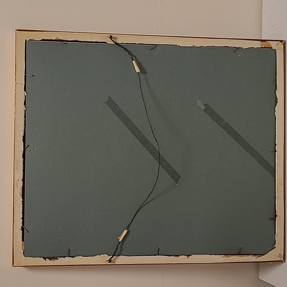 J. Gould and HC Richter Comete Phaon Hummingbirds Lithograph - Picture 17 of 17